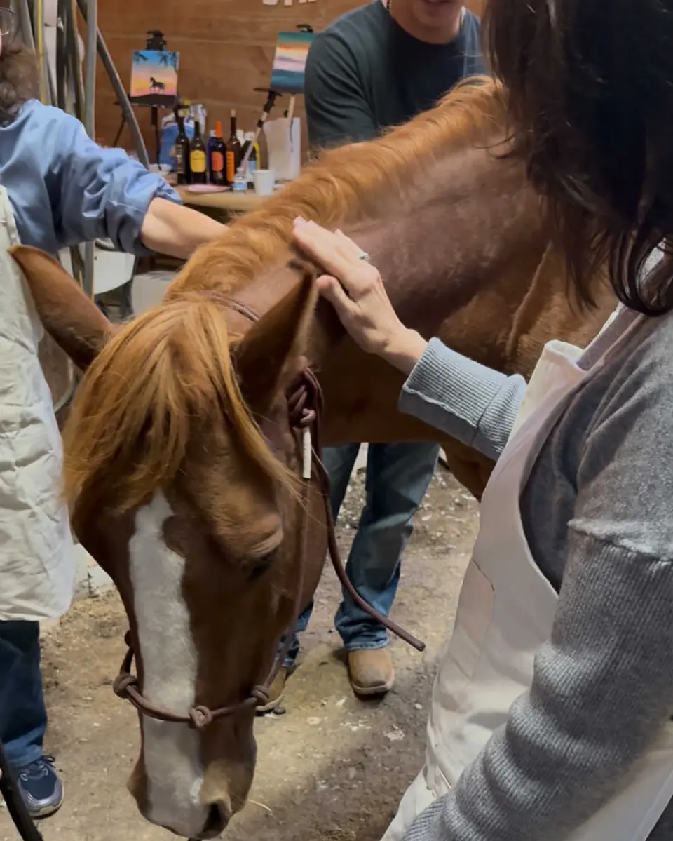 A guest in an apron petting a chestnut horse while a team member holds the lead rope